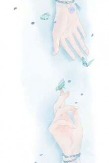 Kỵ Sĩ Mặt Trời